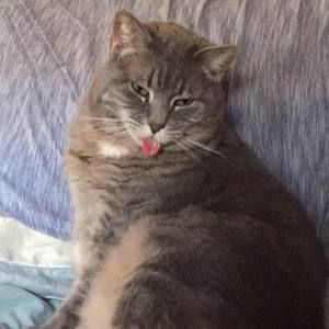 Meet your Posher, Christie